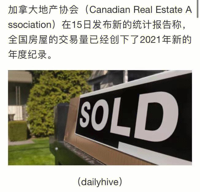 关于Rookie连续十二场比赛得分超过出色防守，加拿大队冲击纪录！的信息